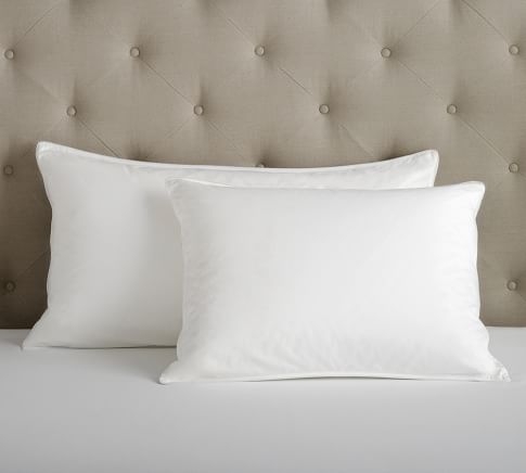 PB Organic Cotton 350-Thread-Count Sateen -  Standard Pillow Insert - Image 0