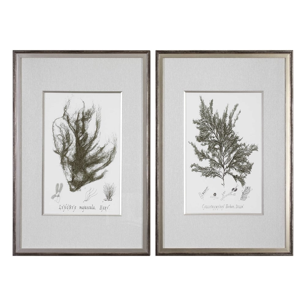 Sepia Seaweed, S/2 Framed Art - Image 0