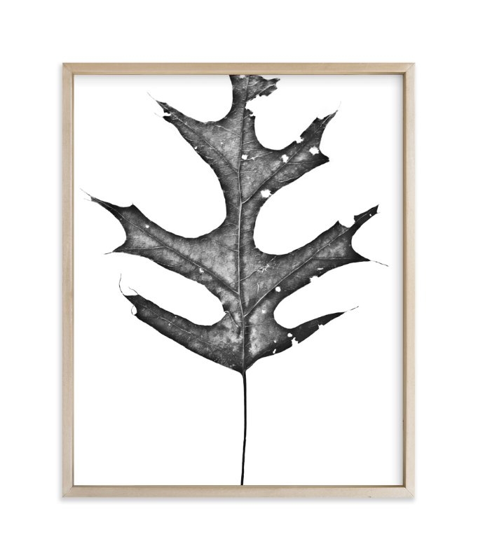 king of the forest, 8"x10", Chic Matte Brass Metal Frame - Image 0