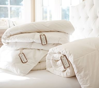 Luxury Loft Pillow, Standard - Image 1