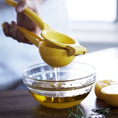 Williams Sonoma Open Kitchen Lemon Press - Image 0