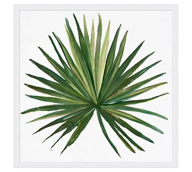Tropic Palm Framed Print, Large 43 x 43" - Image 1