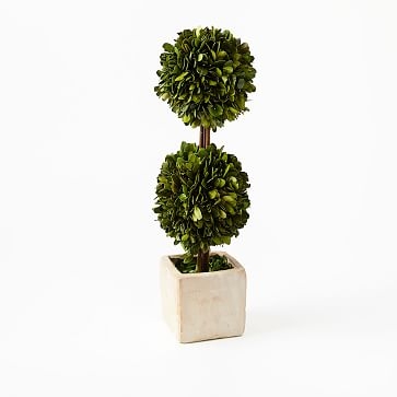 Boxwood Double Topiary, Large (16") - Image 1