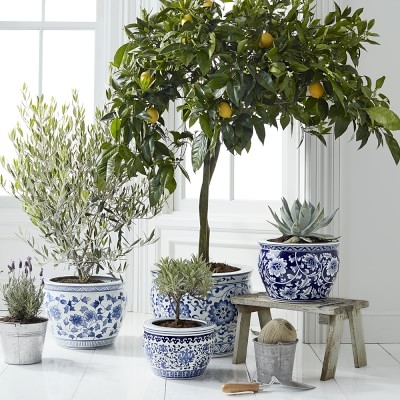 Blue & White Ceramic Planter, Large - Image 1