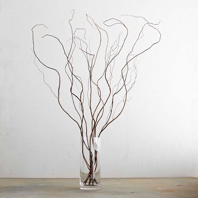 Curly Willow Branches, 1-lb. Bundle - Image 0