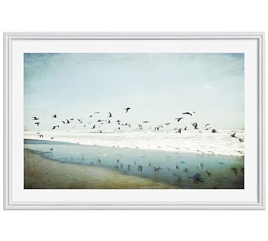 Birds Reflected Framed Print by Lupen Grainne, 28x42", Ridged Distressed Frame, White, Mat - Image 0
