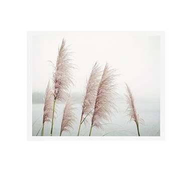 Wild Pampas by Lupen Grainne, 20 x 16", Wood Gallery, Frame, White, No Mat - Image 1