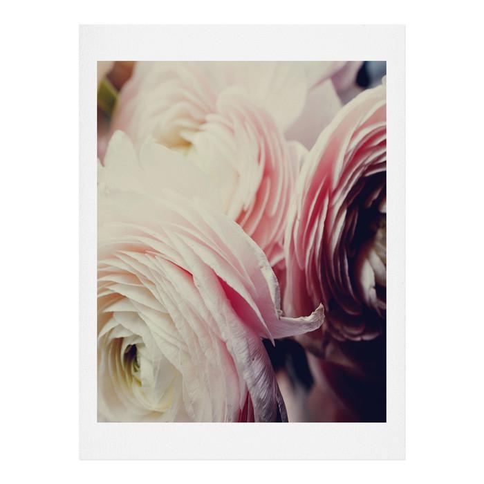 Ranunculus Pop - 18" x 24" - unframed - Image 0