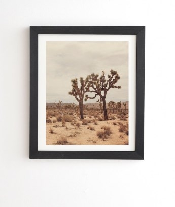 CALIFORNIA JOSHUA TREES Framed Wall Art - 19" x 22.4", Basic Black Frame - Image 0