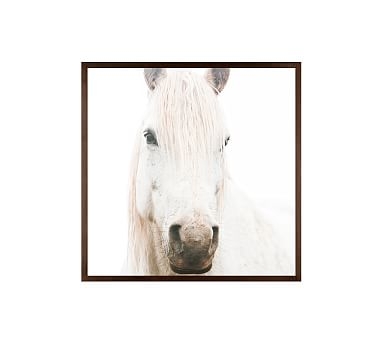 White on White Horse by Jennifer Meyers, 25 x 25", Wood Gallery, Espresso, No Mat - Image 1