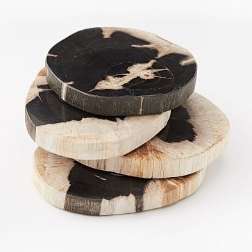 Petrified Wood Coasters, Set of 4, Black - Image 1