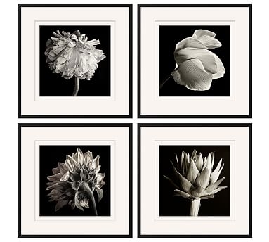 Flower Black &amp; White Framed Print, Set of 4, 24 x 24" - Image 1