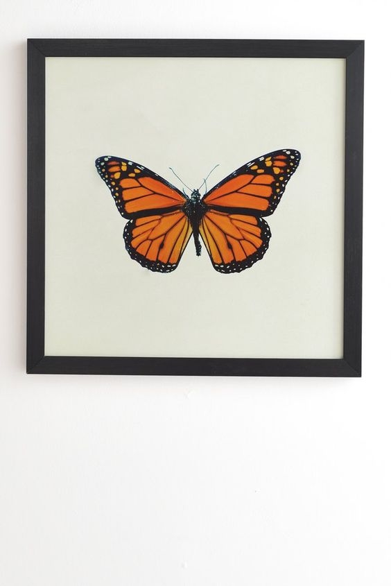 THE QUEEN BUTTERFLY 12x12 Black Frame - Image 0