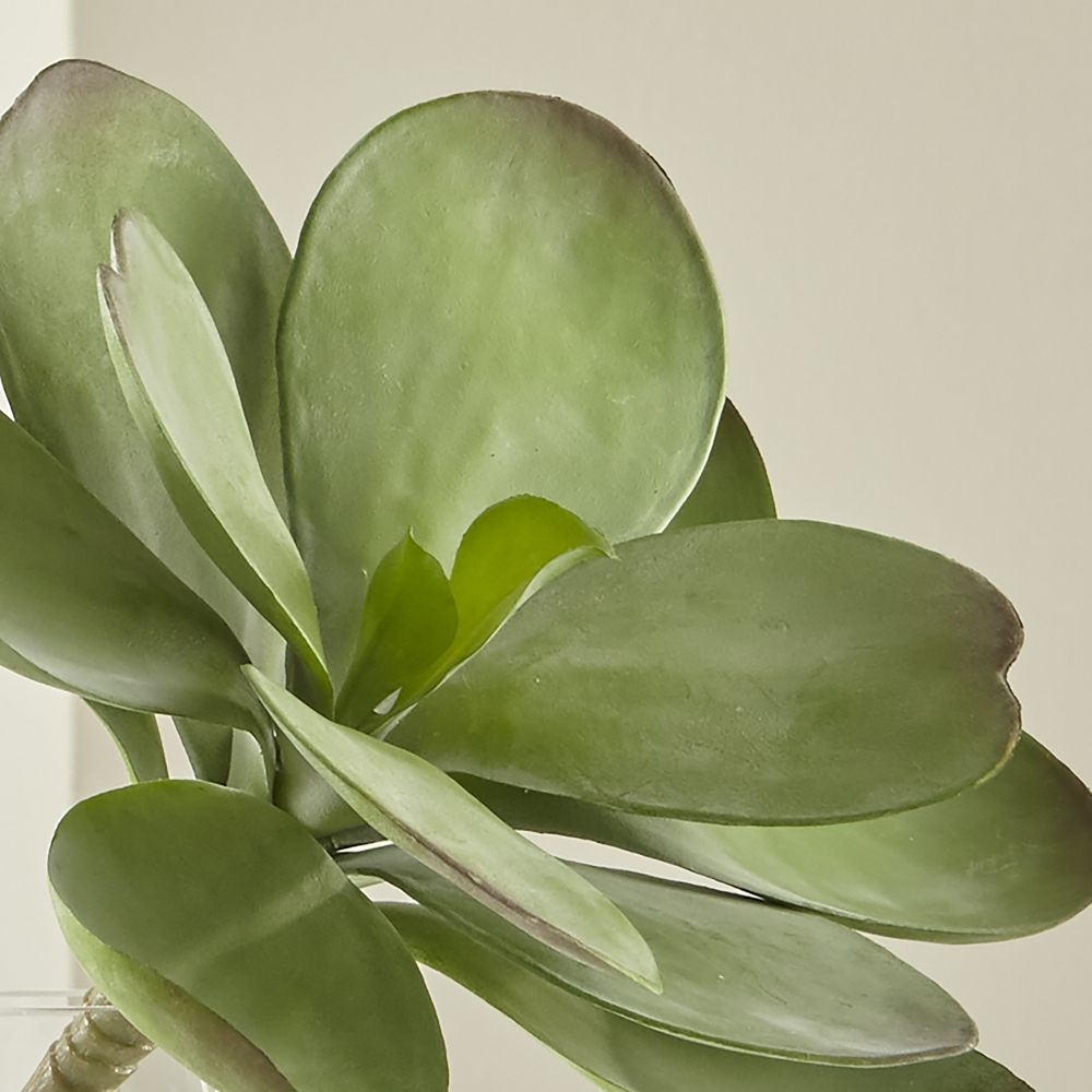 Dusty Paddle Artificial Kalanchoe - Image 0