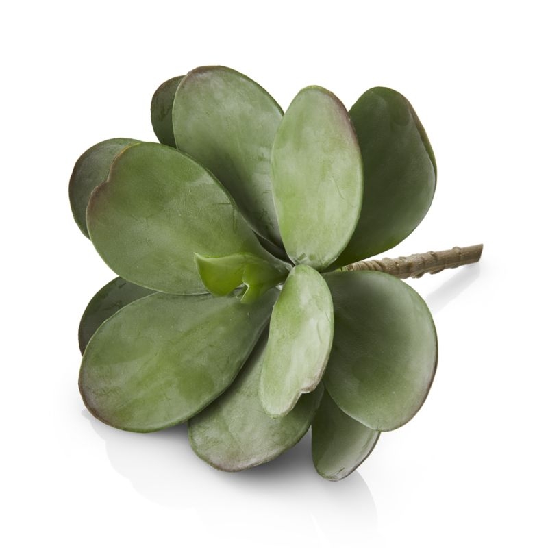 Dusty Paddle Artificial Kalanchoe - Image 2