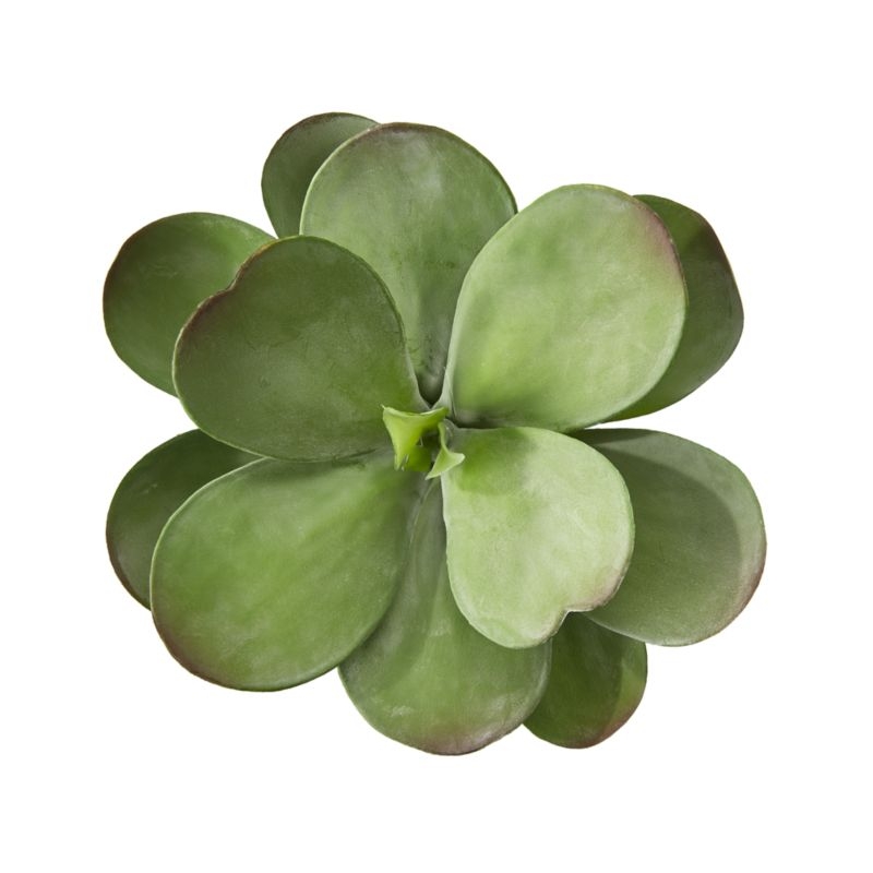 Dusty Paddle Artificial Kalanchoe - Image 3