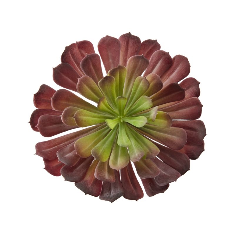 Artificial Echeveria Red Large Succulent Stem - Image 3
