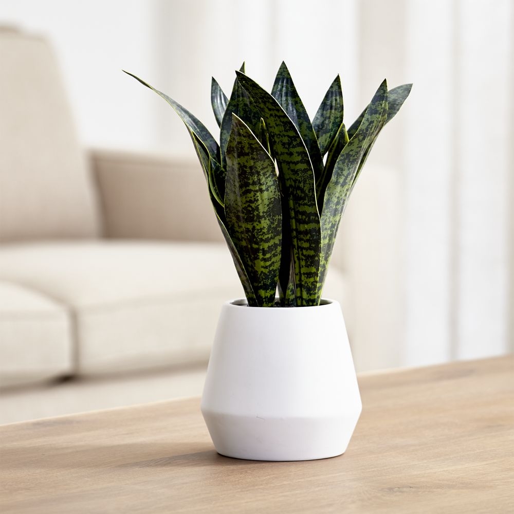 Faux Snake Plant in Pot - Image 0