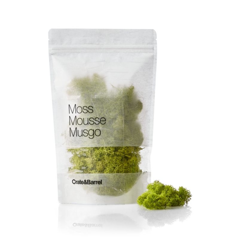 Chartreuse Bag of Moss - Image 3