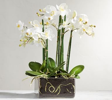 Faux Orchid Phalaenopsis Arrangement in Square Vase, White - 19" - Image 1
