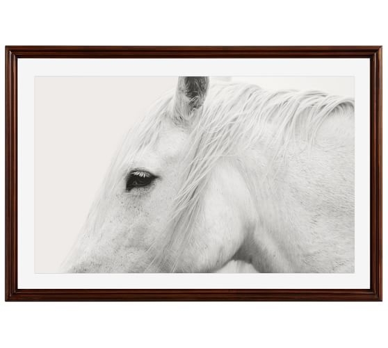 WHITE HORSE FRAMED PRINT BY JENNIFER MEYERS with mat - Image 0