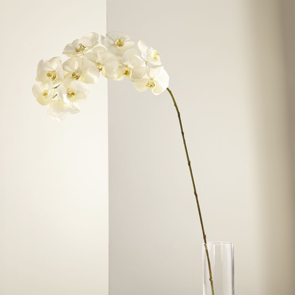 White Orchid Stem - Image 0