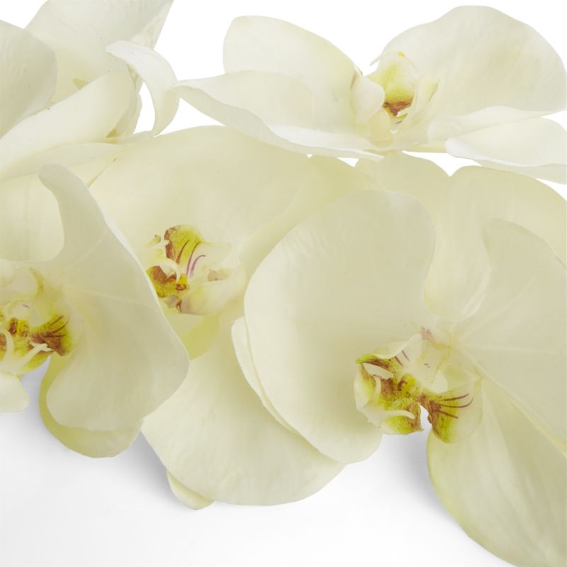 White Orchid Stem - Image 4