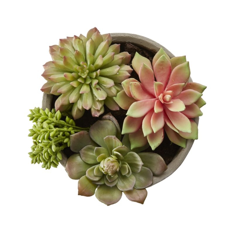 Faux Succulents in Low Round Pot - Image 1