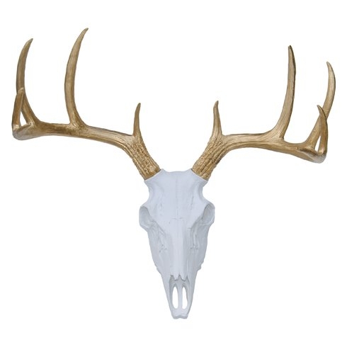 Faux Taxidermy Deer Skull Wall Dcor - Image 0