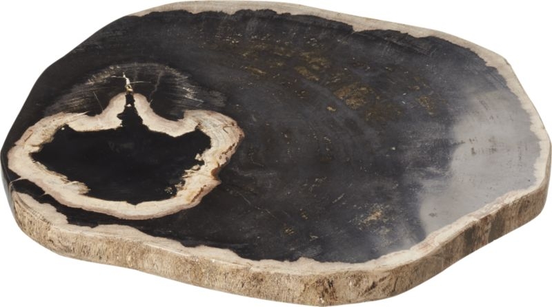 Ring Petrified Wood Serving Board - Image 2