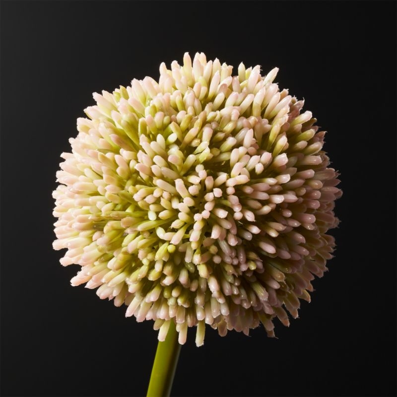 Pink Faux Allium - Image 1