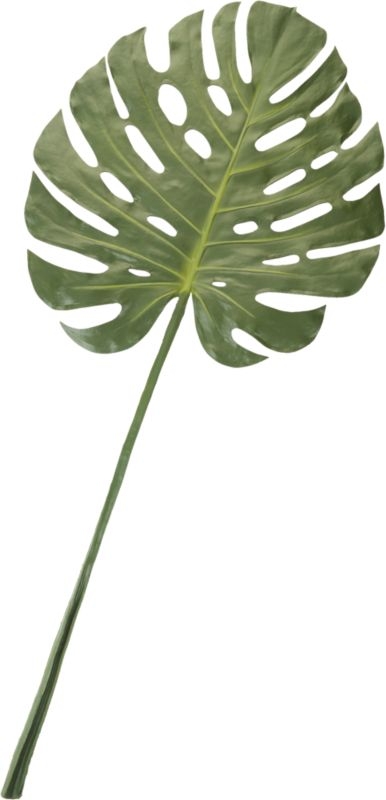 Large Faux Monstera Leaf - Image 2
