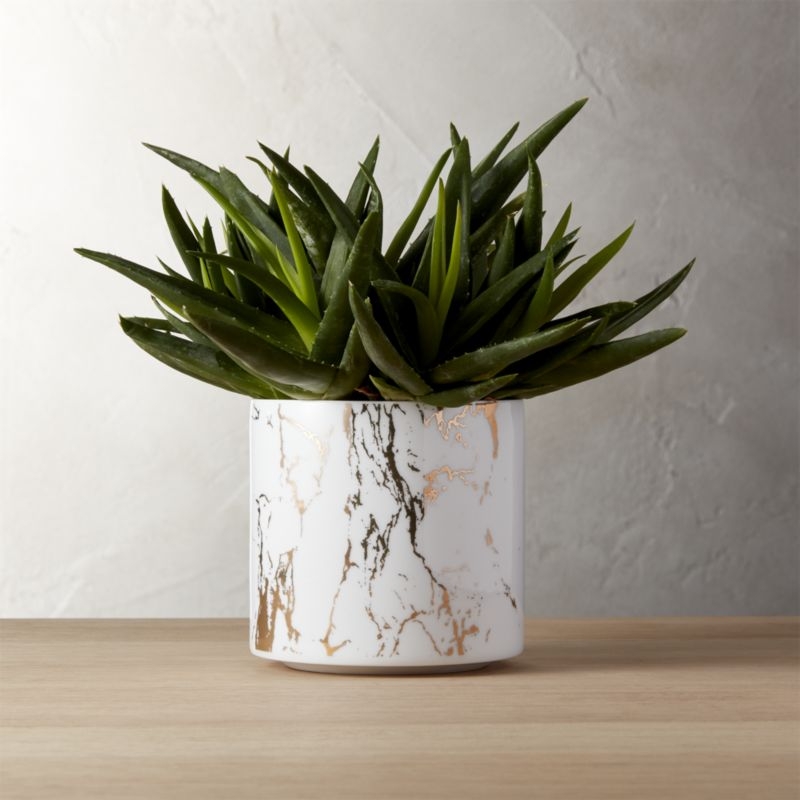 PALAZZO LARGE MARBLEIZED PLANTER 10.5"D x 11"H - Image 5