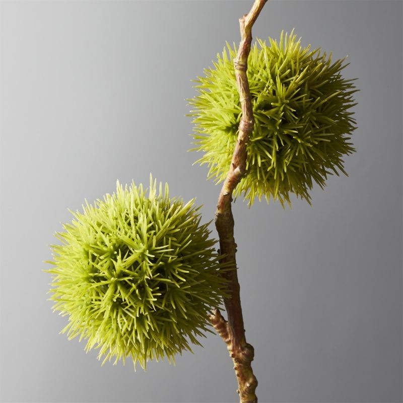 Chestnut Branch - Image 1