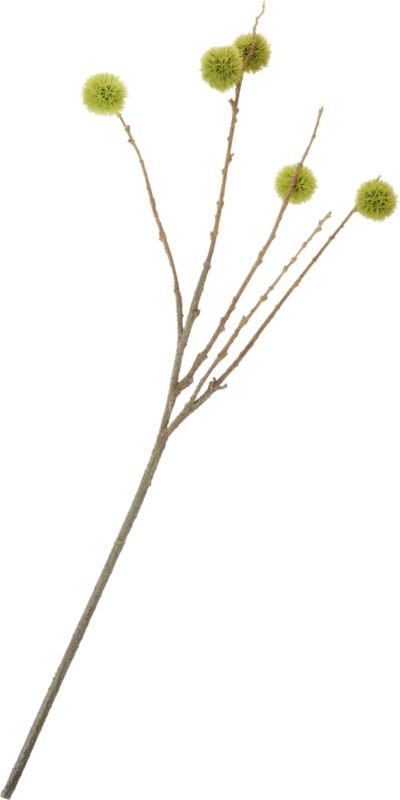 Chestnut Branch - Image 2