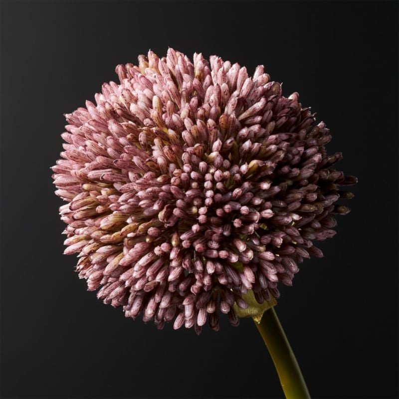 Purple Faux Allium - Image 1