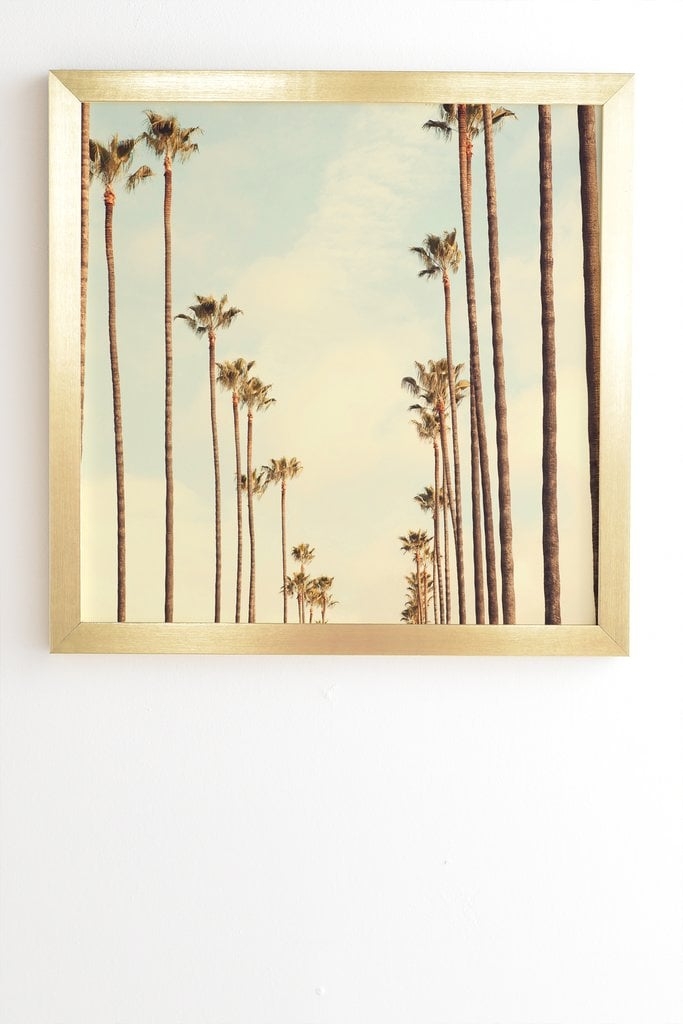 Los Angeles Palms - Image 0
