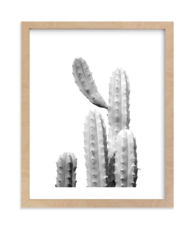 Moorten Cactus Study 1 - Image 0