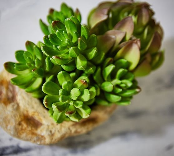 Faux Succulent & Stone Arrangement - Image 1