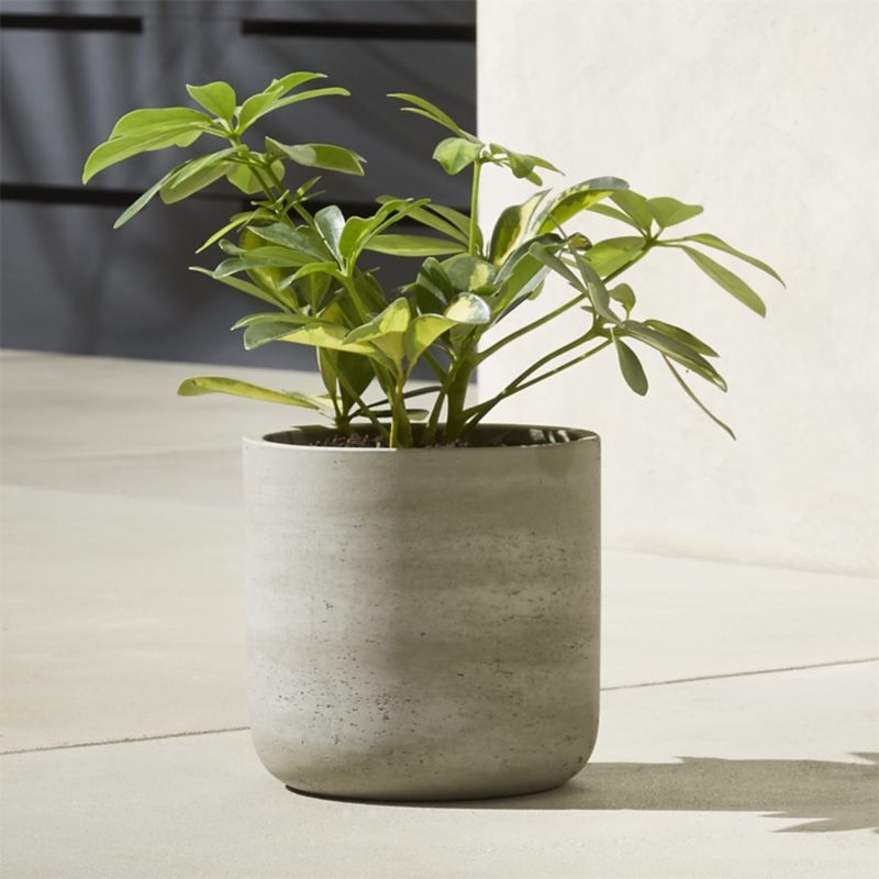 Seminyak Grey Cement Indoor/Outdoor Planter Mini - Image 2