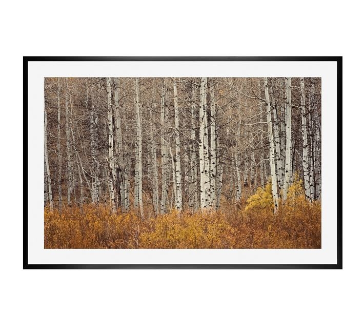 Aspen Trees by Jennifer Meyers, 42 x 28", Wood Gallery, Black, Mat - Image 0