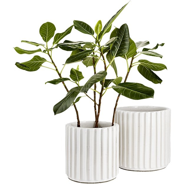 lineal planters - large - Image 2