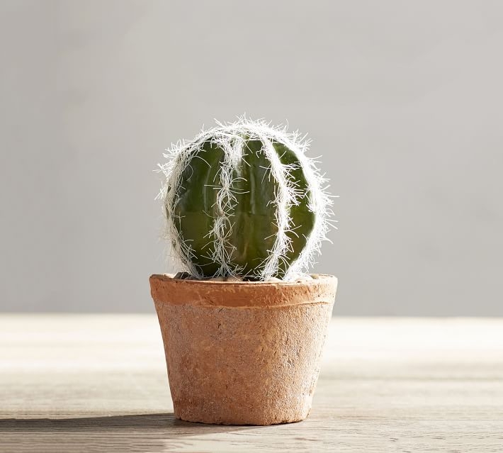 Faux Potted Mini Cactus - Image 0