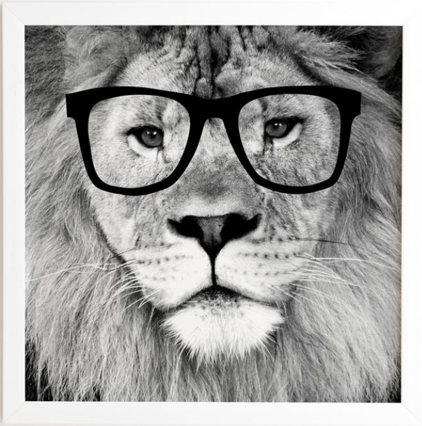 HIPPEST LION White Framed Wall Art - Image 0
