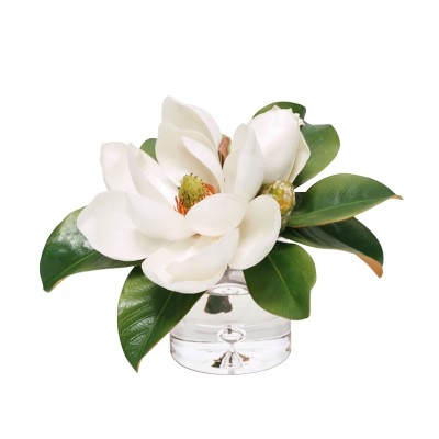 Faux Magnolia Arrangement in Glass Vase - Image 0