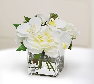 Faux Orchid And Succulent In Square Vase - Image 0