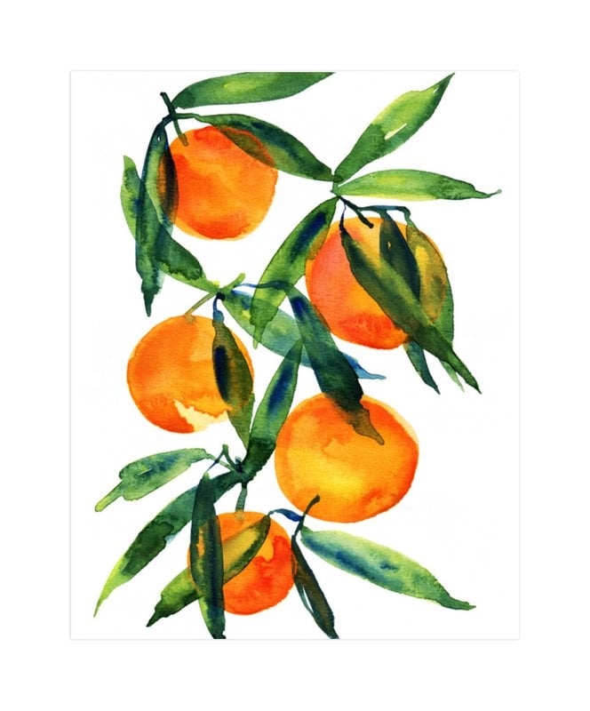 Tangerine - white wood frame - Image 0