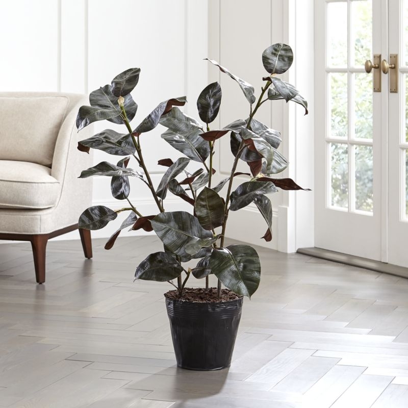 Artificial Rubber Tree - Image 1