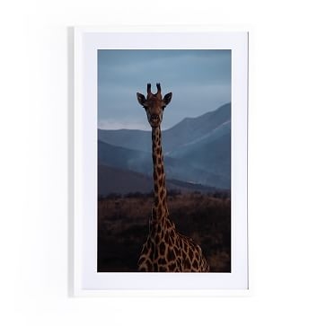 Giraffe 4 by Jade Hammer, 16"x24" - Image 0
