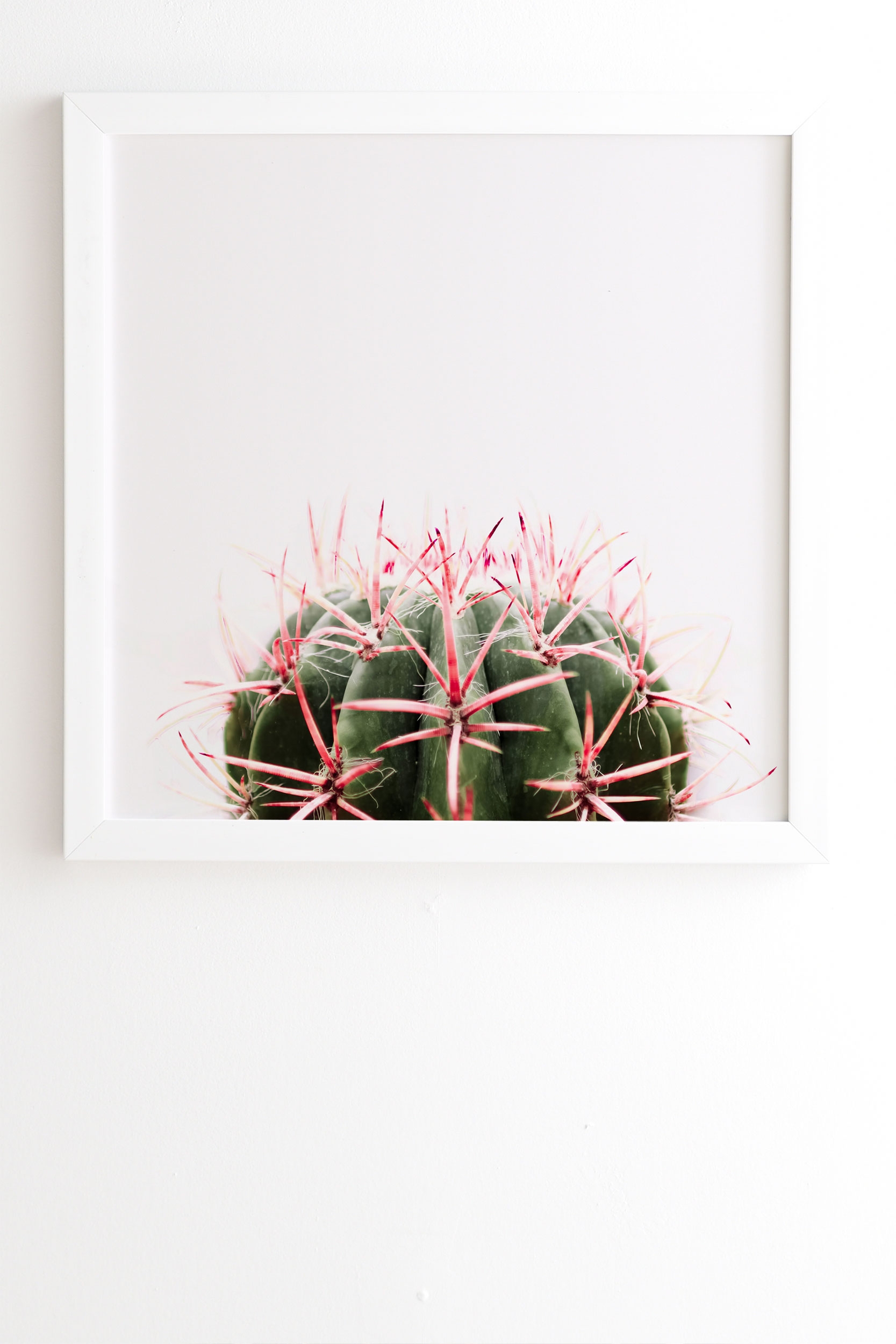 Cactus Red by Ingrid Beddoes - Framed Wall Art Basic White 11" x 13" - Image 1